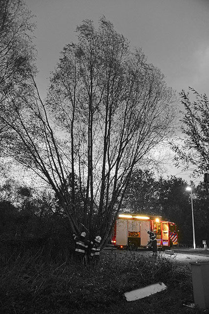 2013/273/GB 20131029 001 Ringvaart Nieuwemeerdijk stormschade.jpg